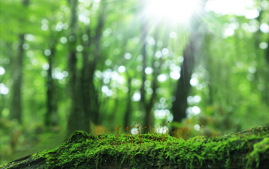 SOONGETS Manufacturing Facility