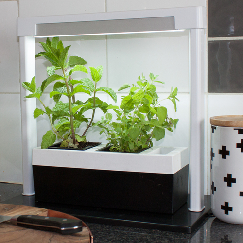 GP0316 Led Herb Lamp Twin Kit