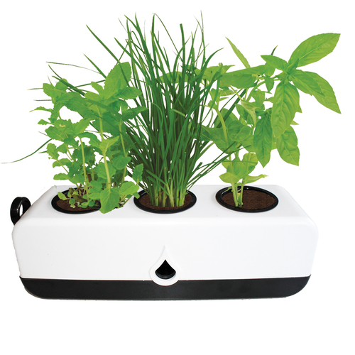 GP0322 Herb Grower Black