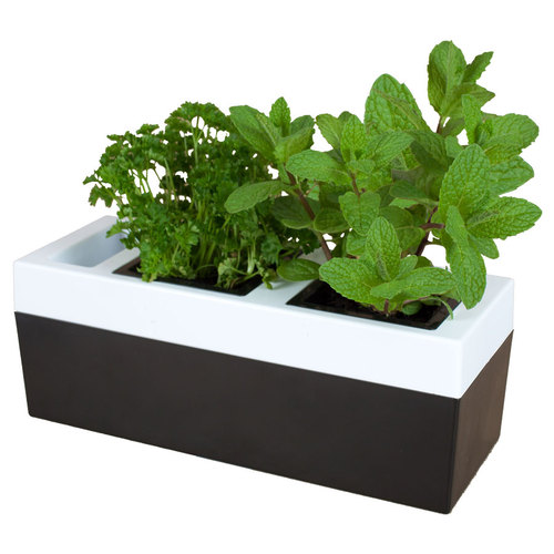 GP0323 Twin Kitchen Herb Pot