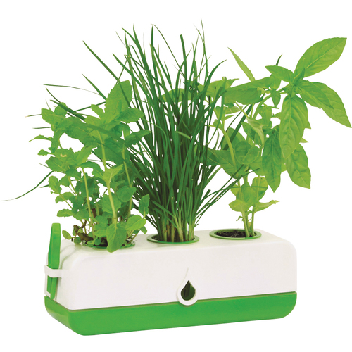 GP0320 Herb Grower Green