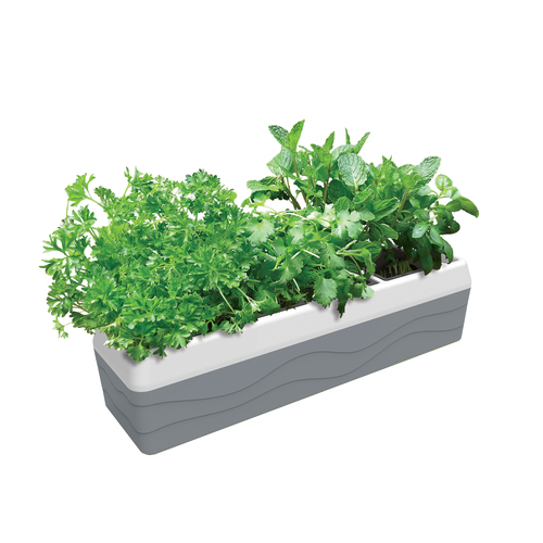Windowsill Herb Planter(GP0326)
